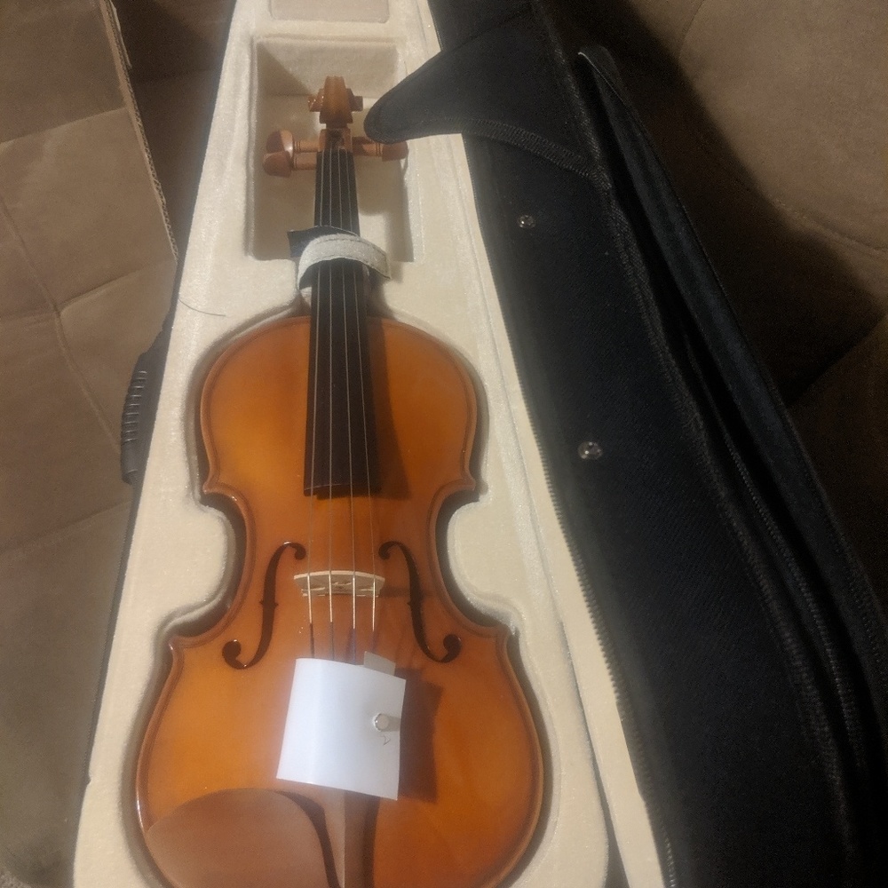 Cecilio 3/4 size Viola